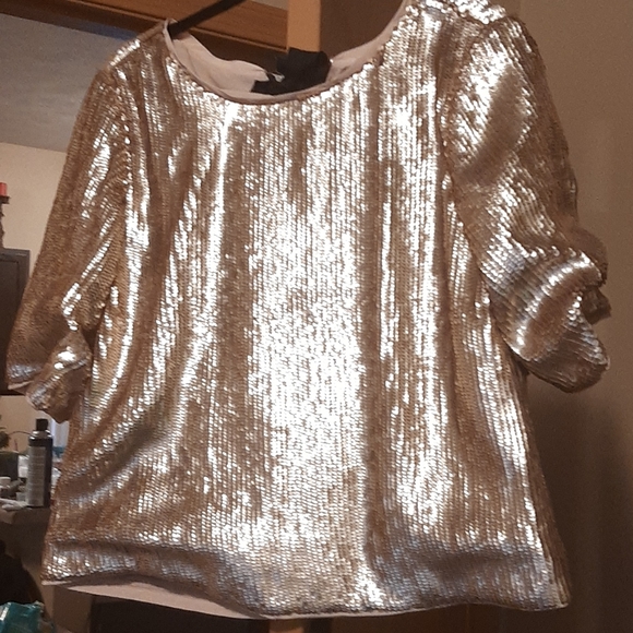 J.Crew Bianca Rose Gold Sequin Top Size
8 tall - Picture 2 of 4